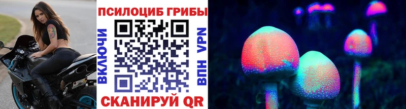 Псилоцибиновые грибы Psilocybe  Судогда 